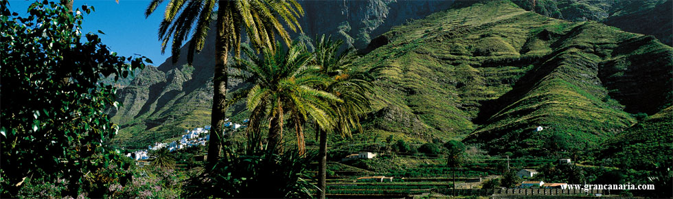 Valle de Agaete - Los Berrazales
